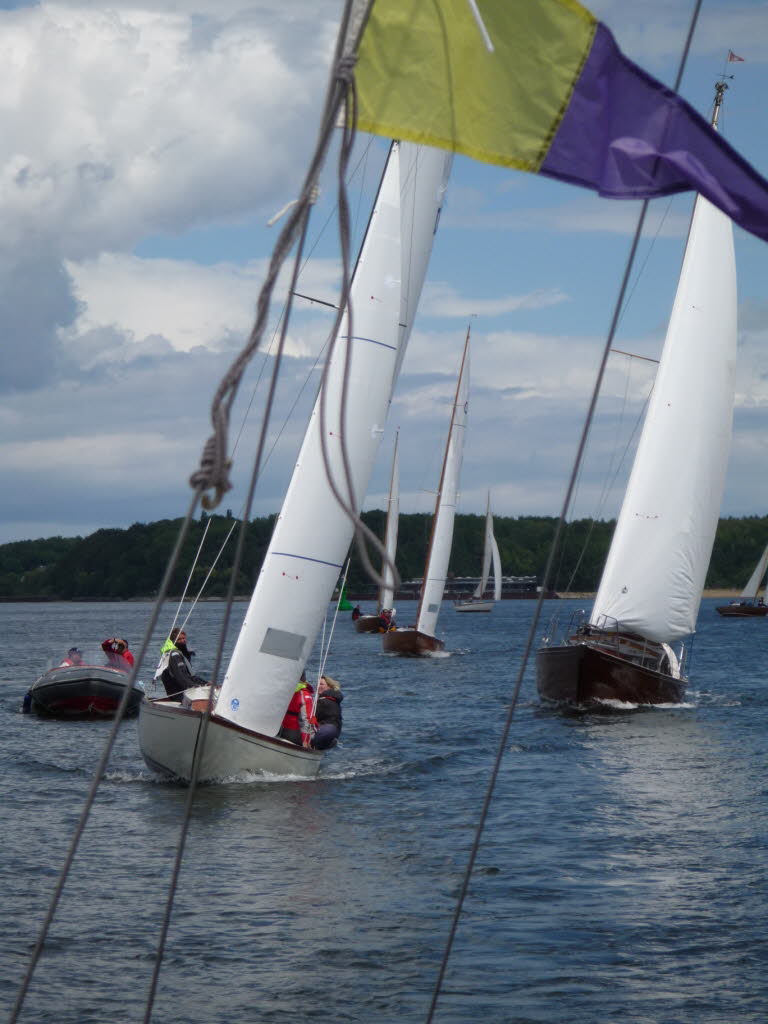 Regatta 21